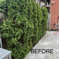 Tasker Landscaping Help Photo