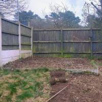 Tasker Gardening Photo