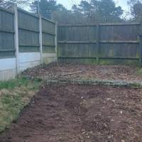 Tasker Gardening Photo