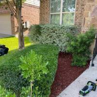 Tasker Branch & Hedge Trimming Photo