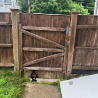 Tasker Light Carpentry Photo
