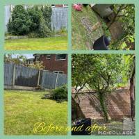 Tasker Gardening Photo
