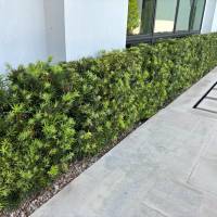 Tasker Landscaping Help Photo