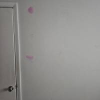 Tasker Wall Repair Photo