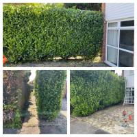 Tasker Gardening Photo