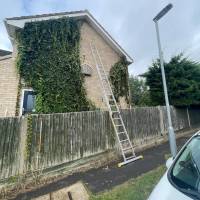 Tasker Branch & Hedge Trimming Photo