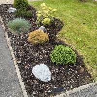 Tasker Branch & Hedge Trimming Photo