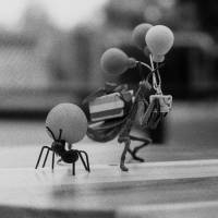 Tasker Photography Photo