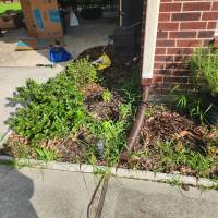 Tasker Yard Work Photo