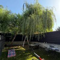 Tasker Branch & Hedge Trimming Photo