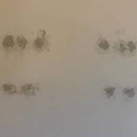 Tasker Wall Repair Photo