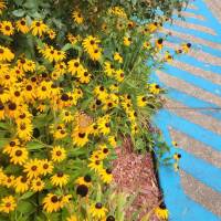 Tasker Yard Work Photo