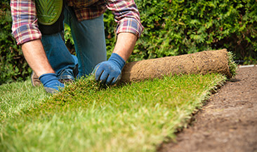 Landscaping Services Local Landscapers Taskrabbit