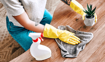 House Cleaning Services Arlington