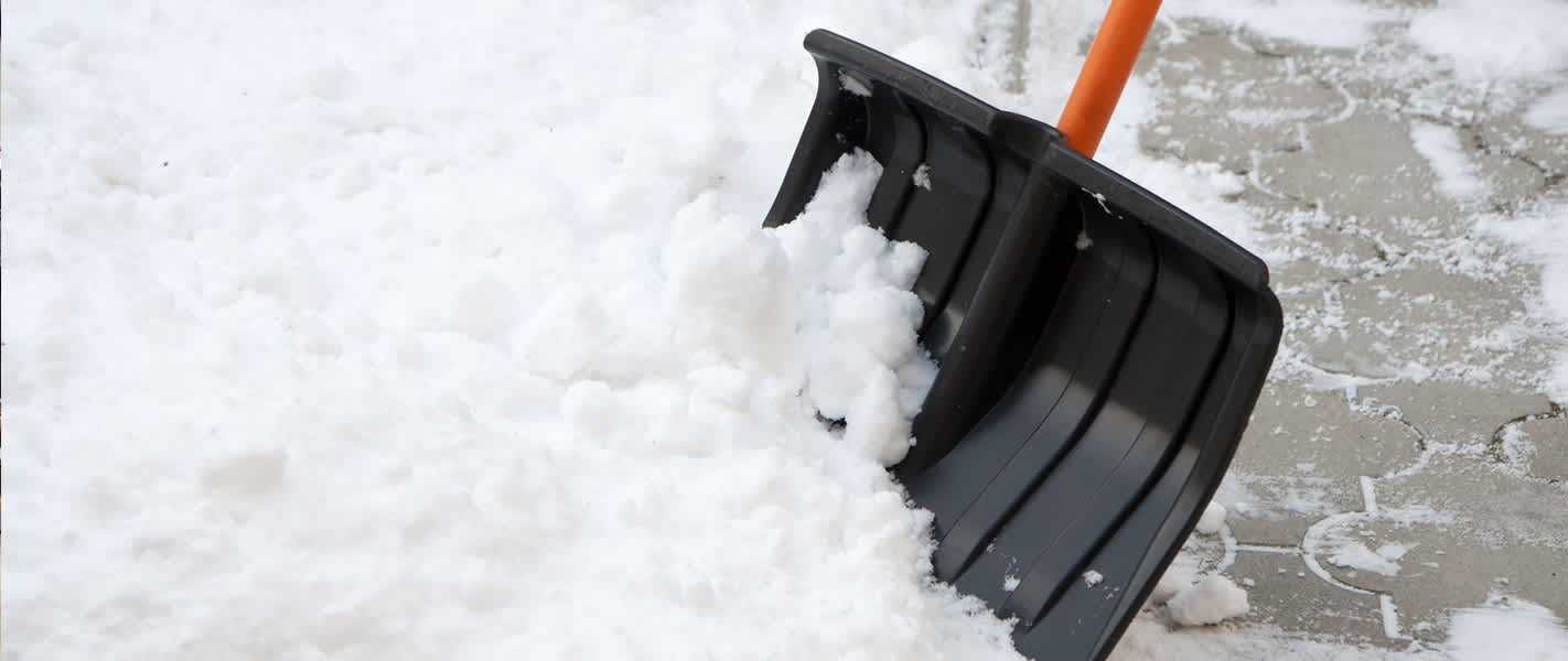 Snow Shoveling & Removal Services