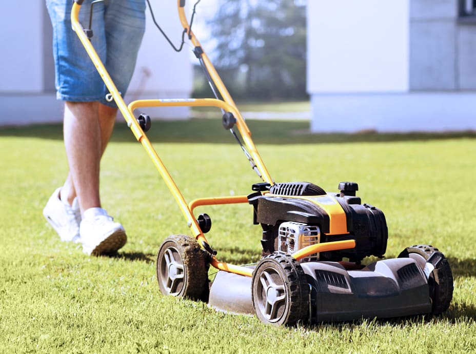 Lawn Mowing & Maintenance