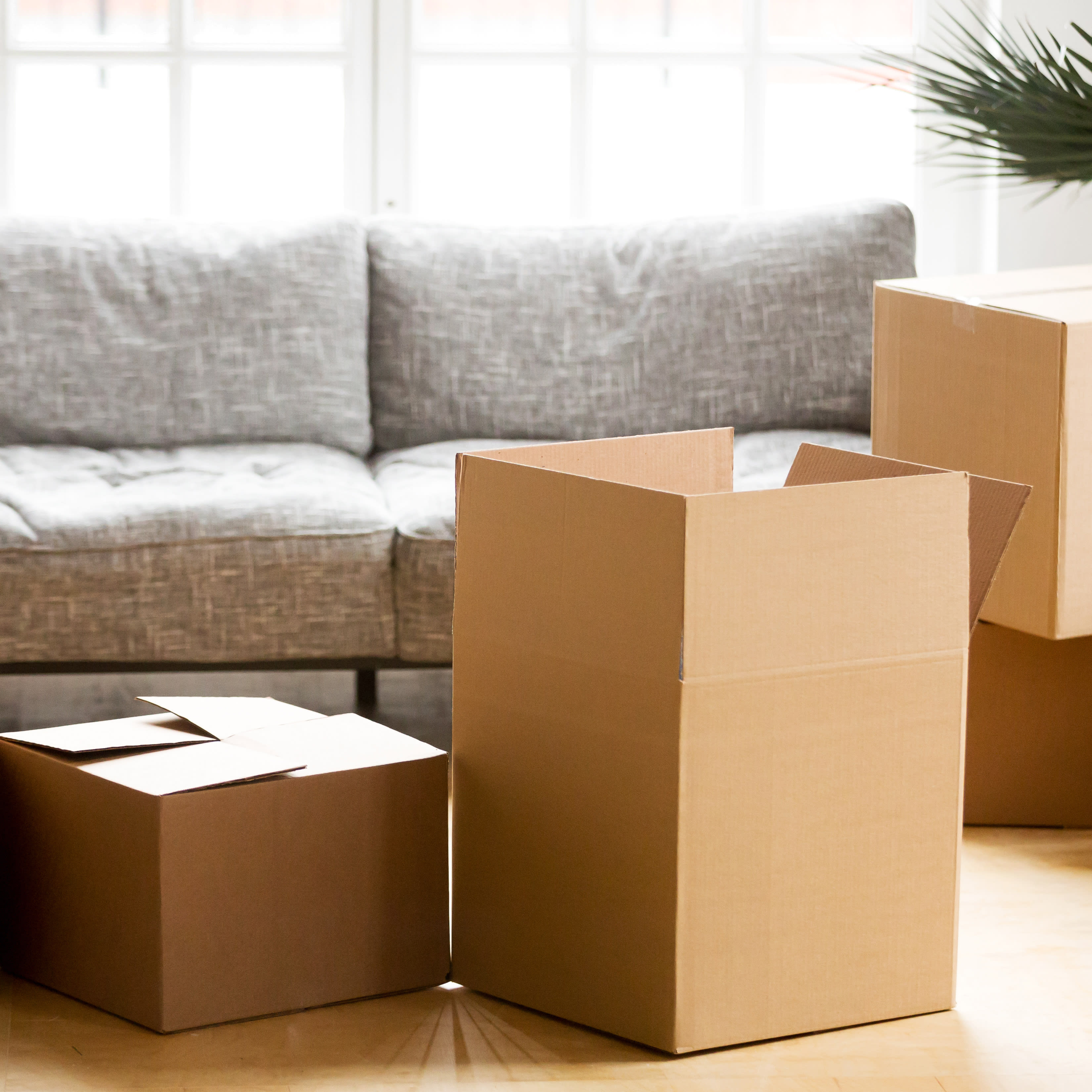 SF Moving Supplies Bay Area: Your Trusted Moving Partner in SF