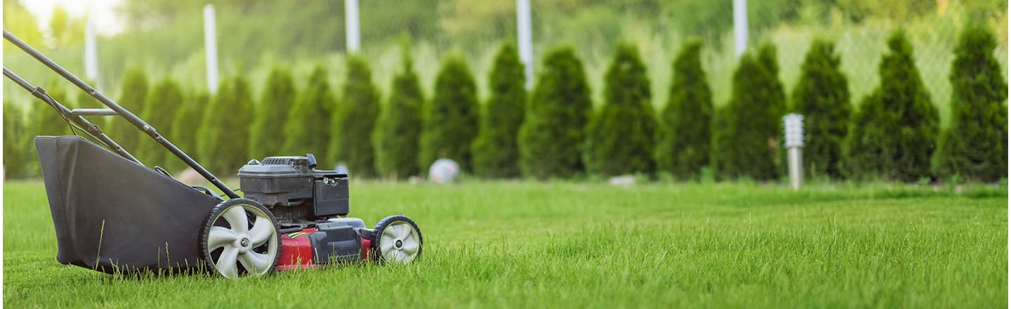 lawn mowing gold coast