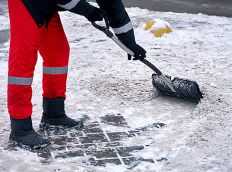 Snow Removal, Snow Shovellers