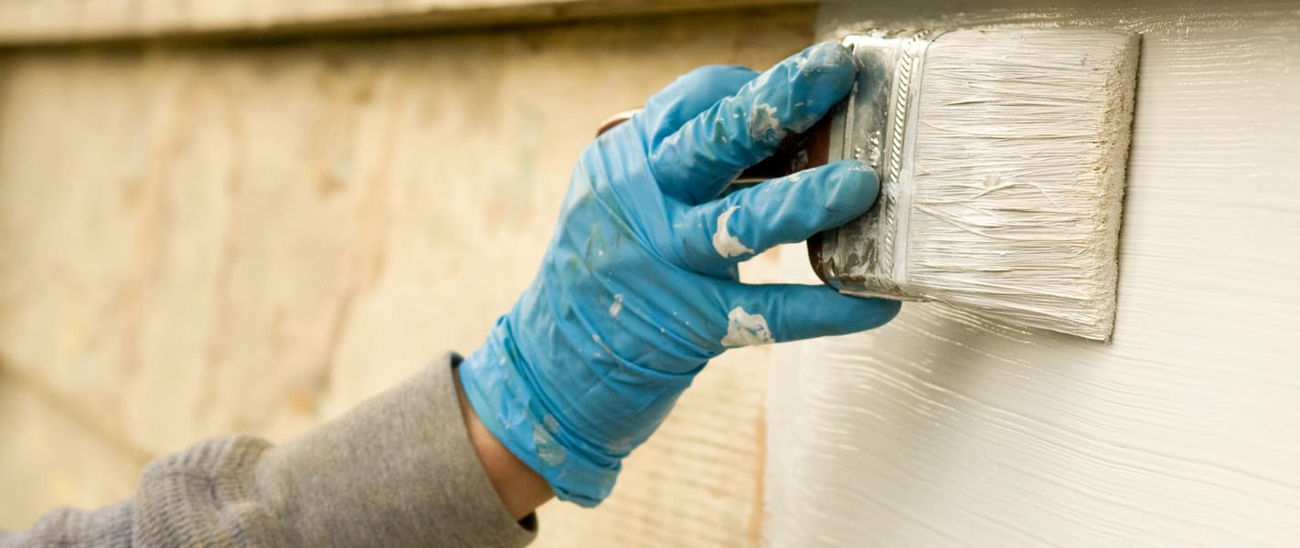 Exterior House Painters