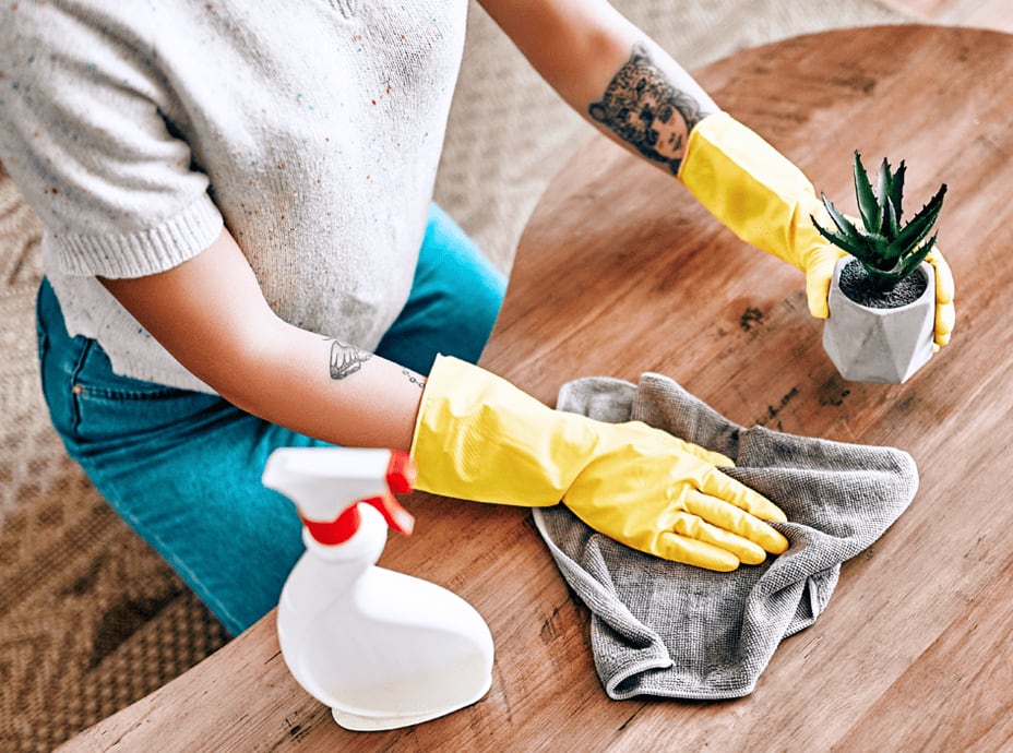 Roseville Cleaning Services