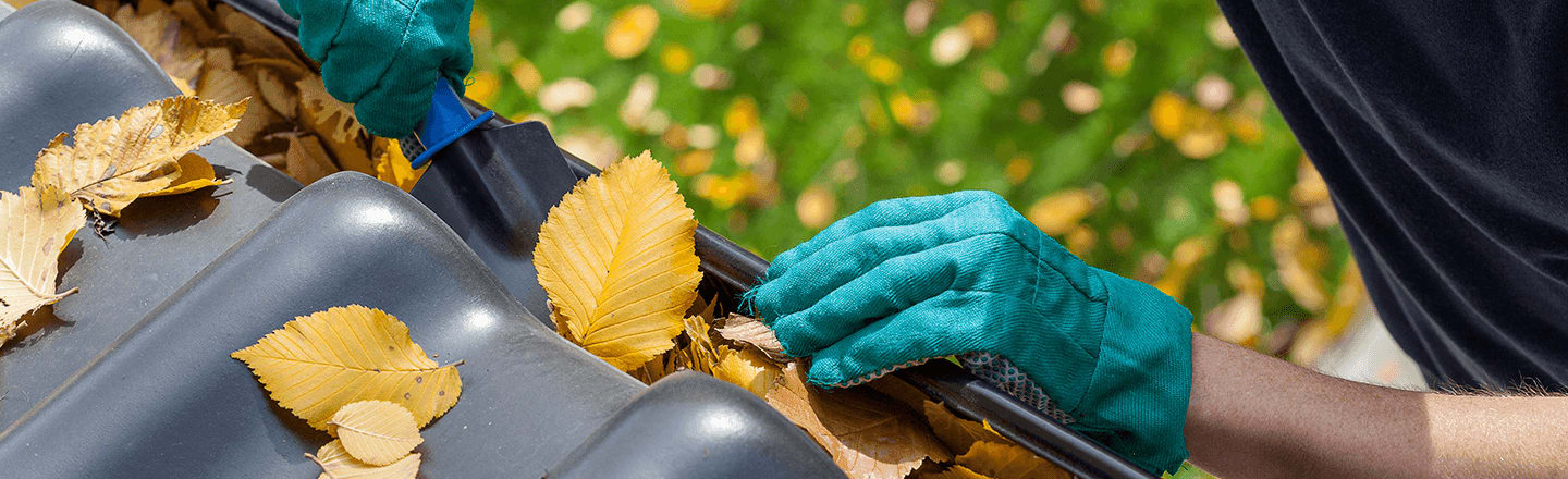 Gutter Cleaning