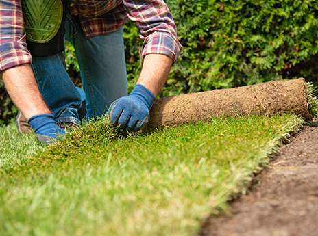 Landscaping Services & Local Landscapers | TaskRabbit