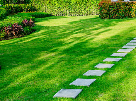 Sonoma County Lawn Care Companies