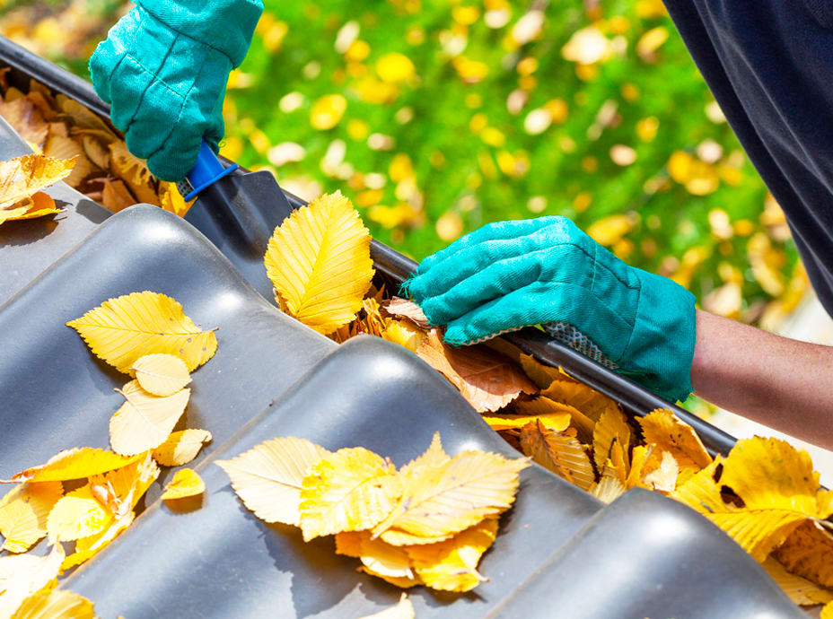 Gutter Cleaning Near