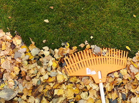 Lawn on sale rake hire
