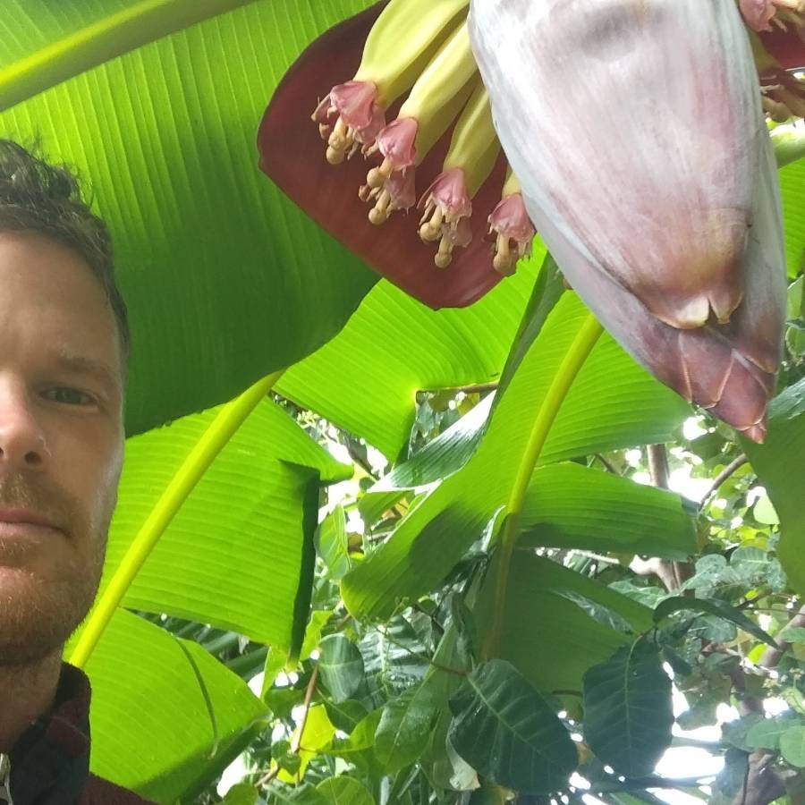 Image thumbnail of a tasker