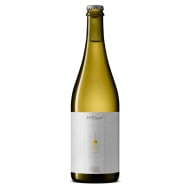 sideProjectBrewing_blended2023