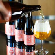 equilibriumBrewery_tABA(Nelson)