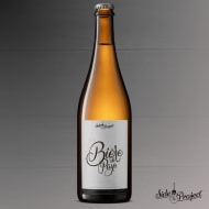 sideProjectBrewing_biereduPays10Year