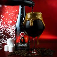 equilibriumBrewery_lifeAfterDeathstar