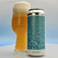 evilTwinBrewingNYC_dryHoppedWithSummerItself