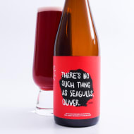 varietalBeerCo._there'sNoSuchThingAsSeagulls,Oliver(Season2)