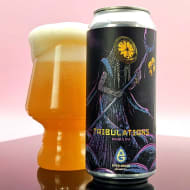 everGrainBrewingCo._tribulationsAnniversaryDIPA