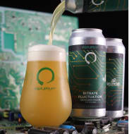 equilibriumBrewery_bitrateFluctuation
