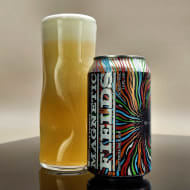 fortGeorgeBrewery_magneticFields