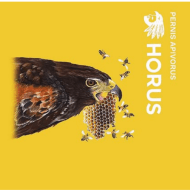 horusAgedAles_pernisApivorus