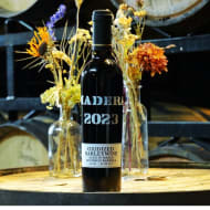 newImageBrewing_madera2023-Blend2(MapleBourbon)