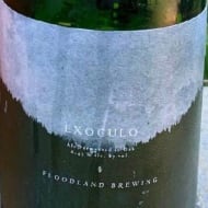 floodlandBrewing_exoculo(2020)