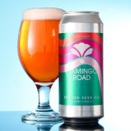 beardedIrisBrewing_-2616-FlamingoRoad