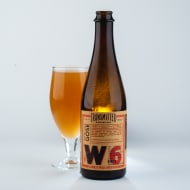 transmitterBrewing_w6-ApricotGose