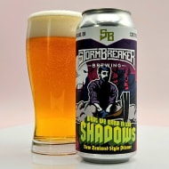 stormBreakerBrewing_whatWeBrewIntheShadows