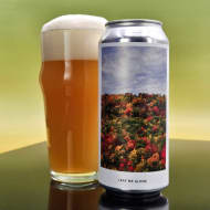 evilTwinBrewingNYC_leafMeAlone