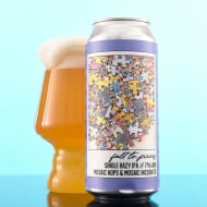 socialProjectBrewingCo._fallToPieces