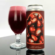 evilTwinBrewingNYC_makeitFruityRaspberryPomegranate