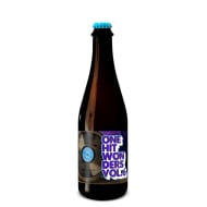 mikerphoneBrewing_oneHitWondersVol.6